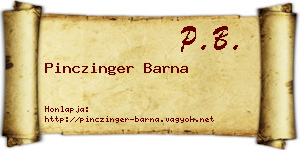 Pinczinger Barna névjegykártya