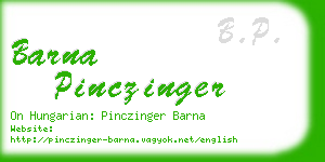 barna pinczinger business card